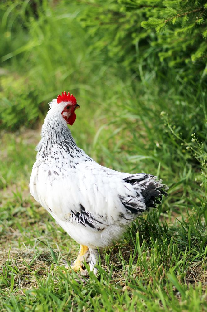 Photograph by Екатерина