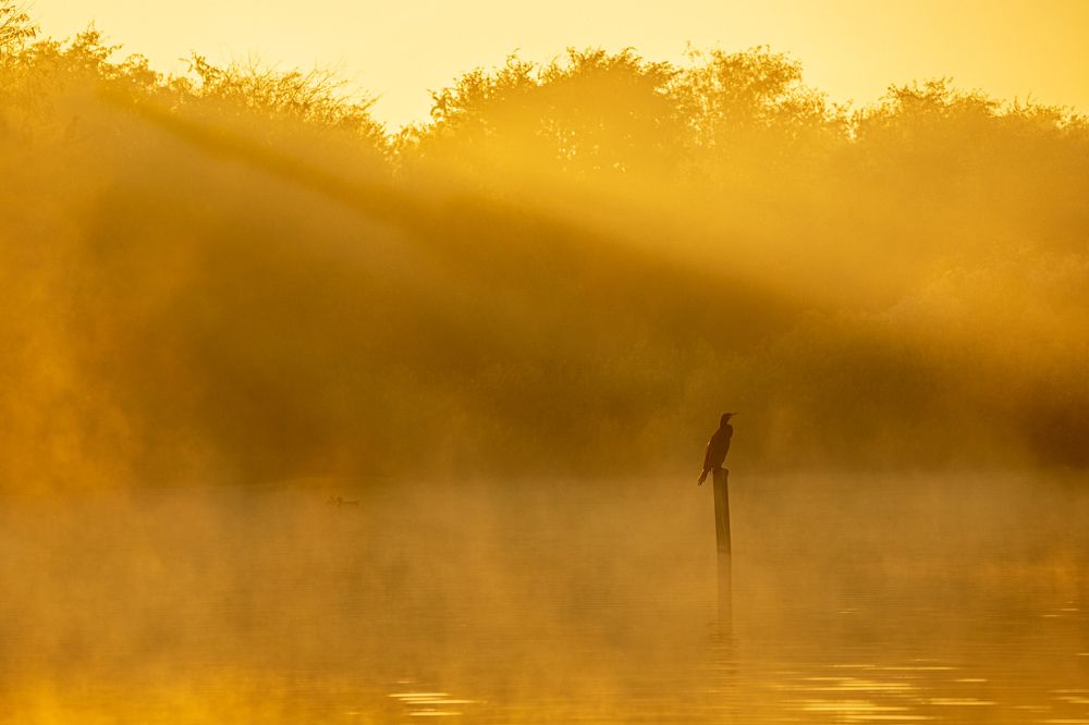 Photograph by Zubair Irshad