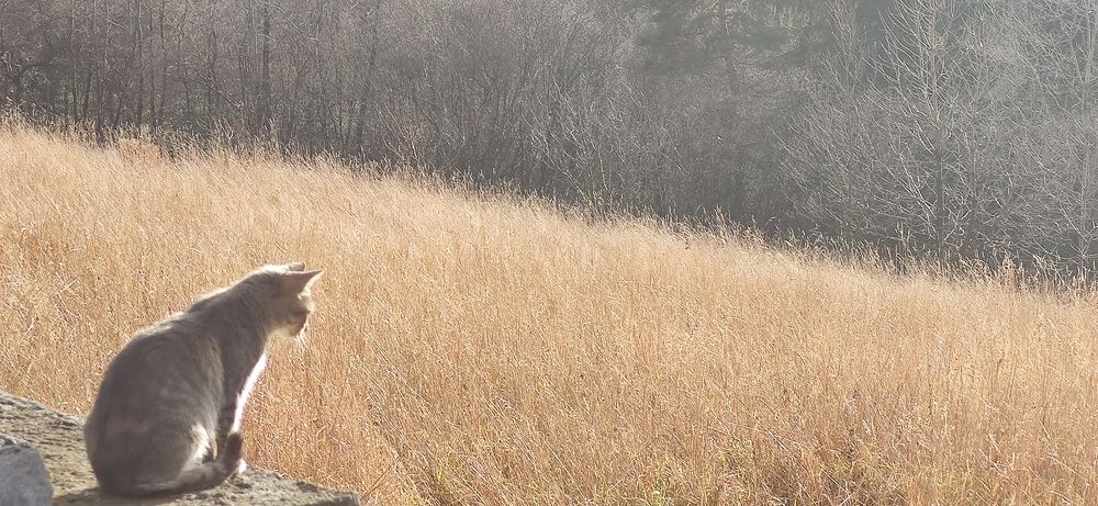 Photograph by Dmytro Tur