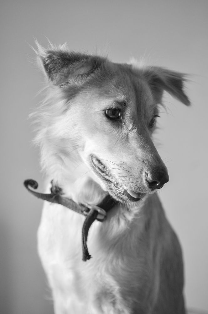 Photograph by M.sainath