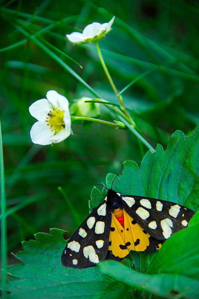 Photograph by Александра