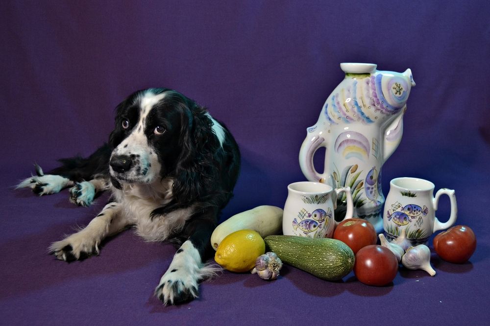 Photograph by Остапчук Ольга