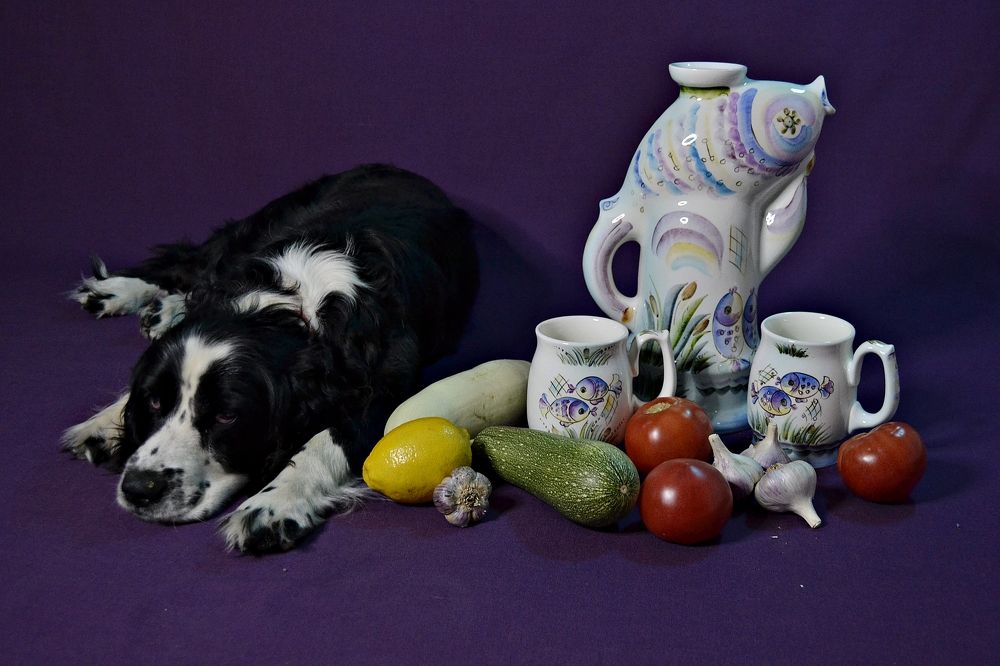 Photograph by Остапчук Ольга