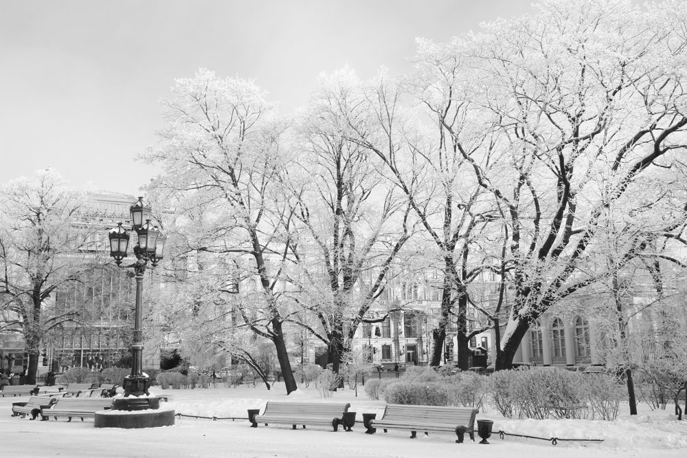 Питерская графика