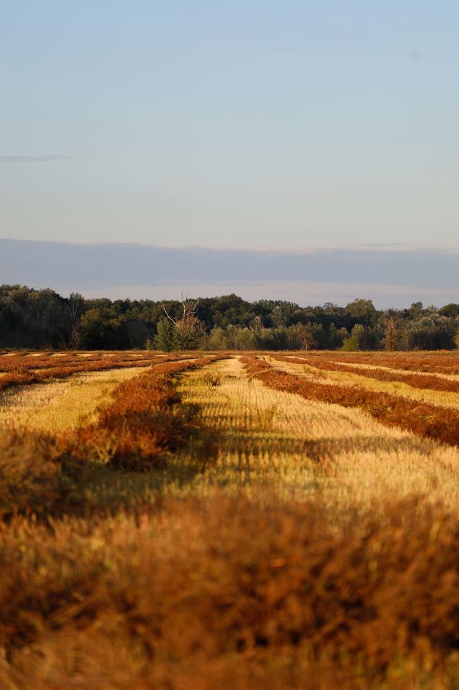 Photograph by Сергей Конюшенко