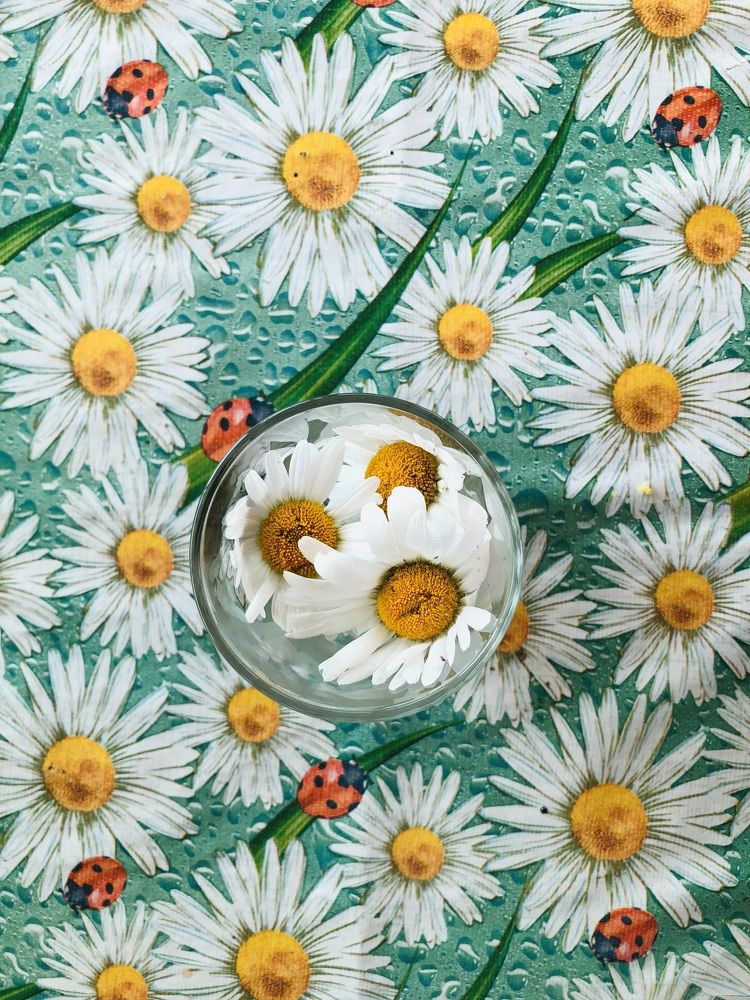 Photograph by Елена Саватеева