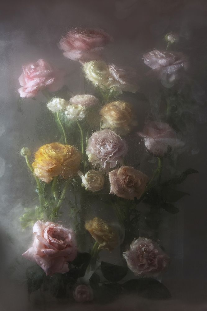 Photograph by ALLA YURYEVNA