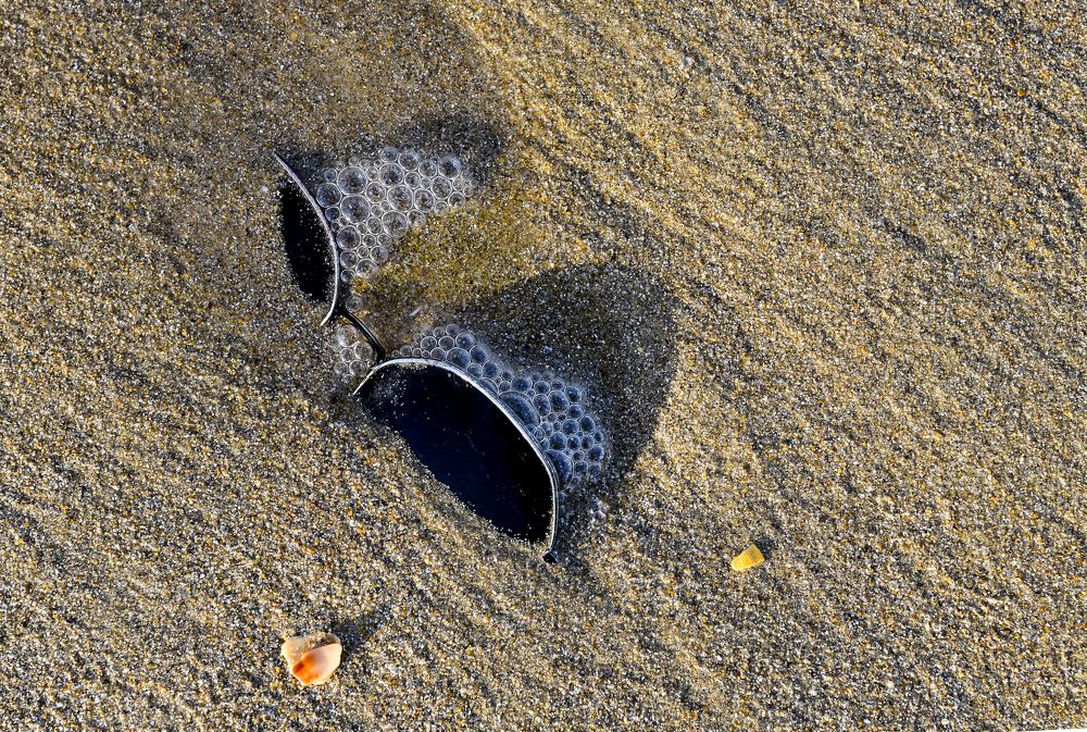 Фотография автора Михаил Пшеннов