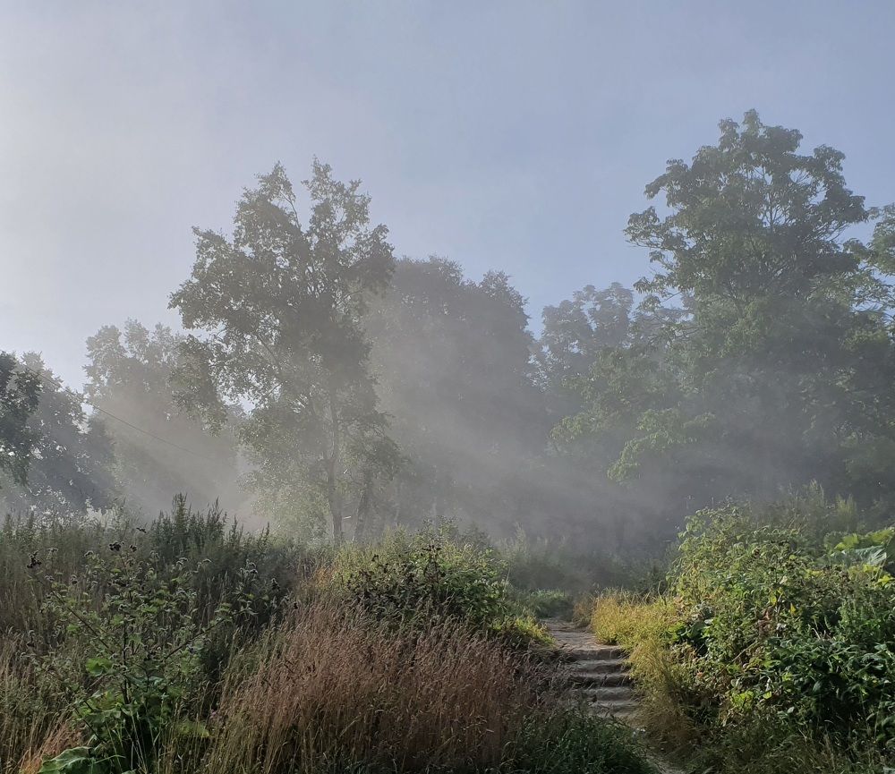 Photograph by Жанна Регор