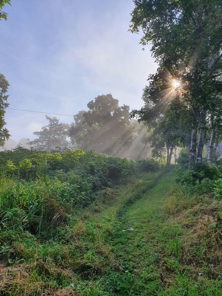 Photograph by Жанна Регор