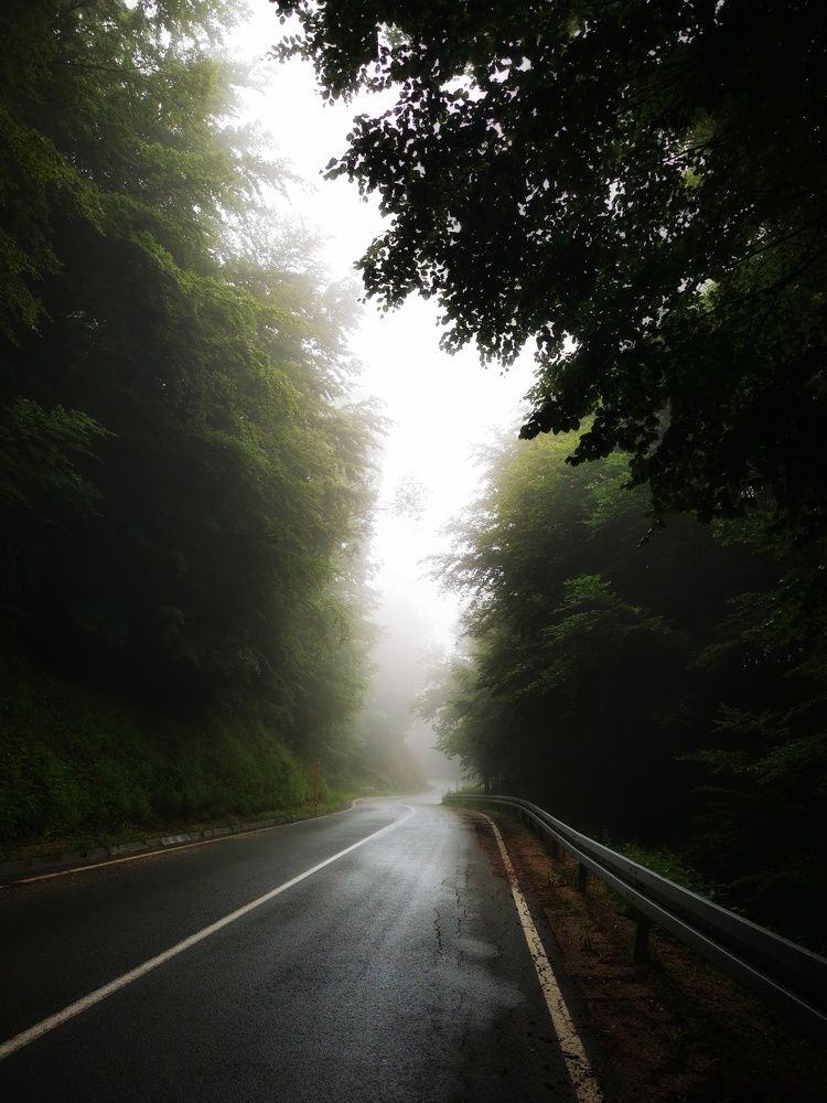 Photograph by Кармаков Матвей