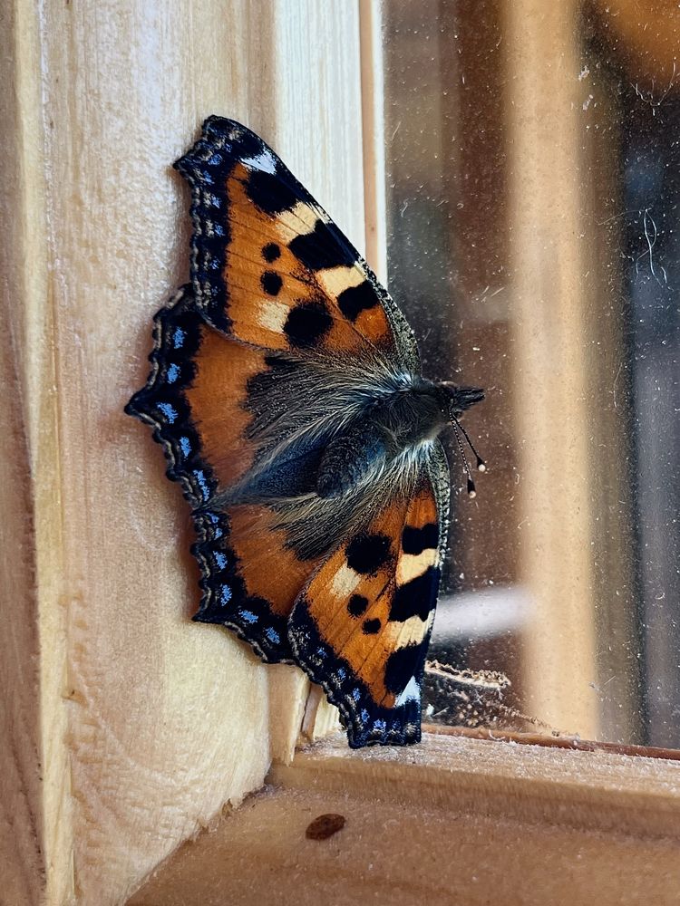 Фотография автора Мария Жукова