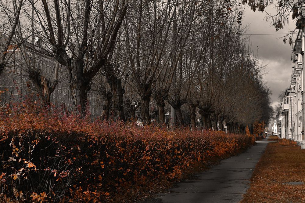 Photograph by Ирина Александрович