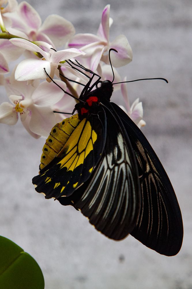 Photograph by Галина Сычева