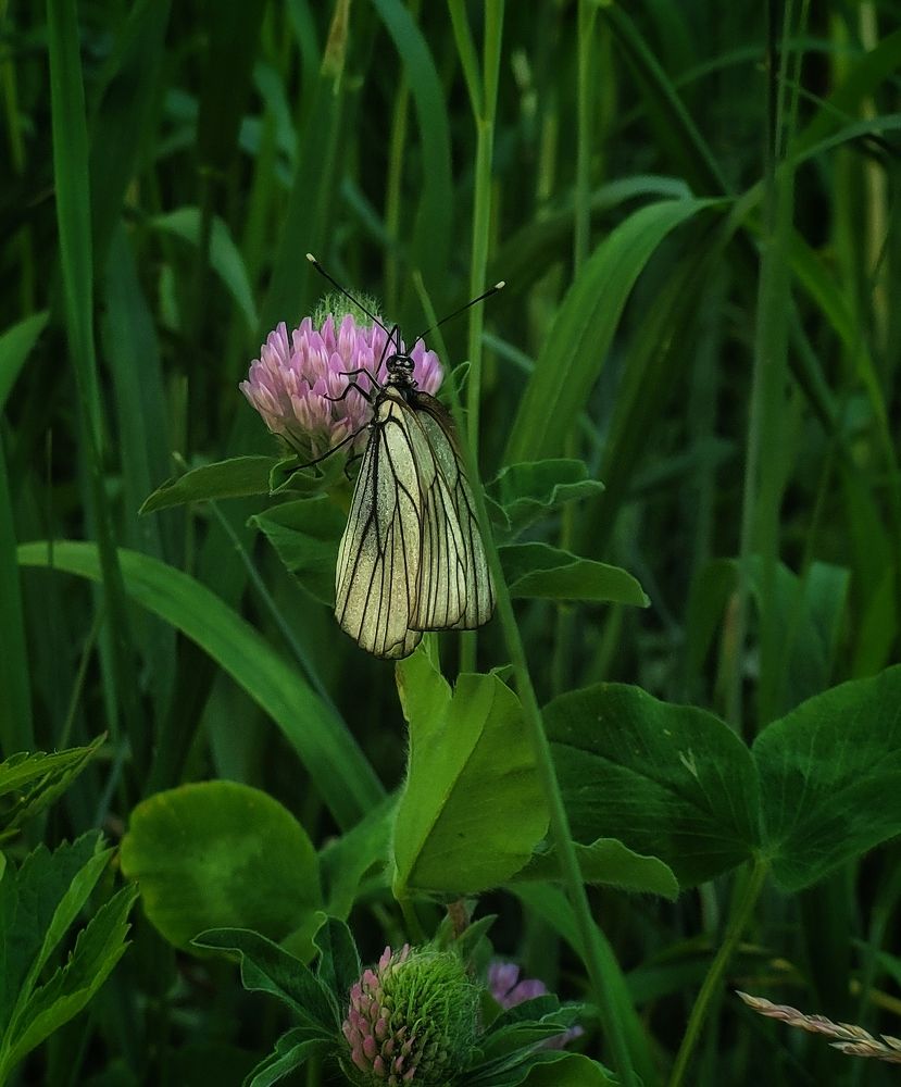Photograph by Елена Иванова
