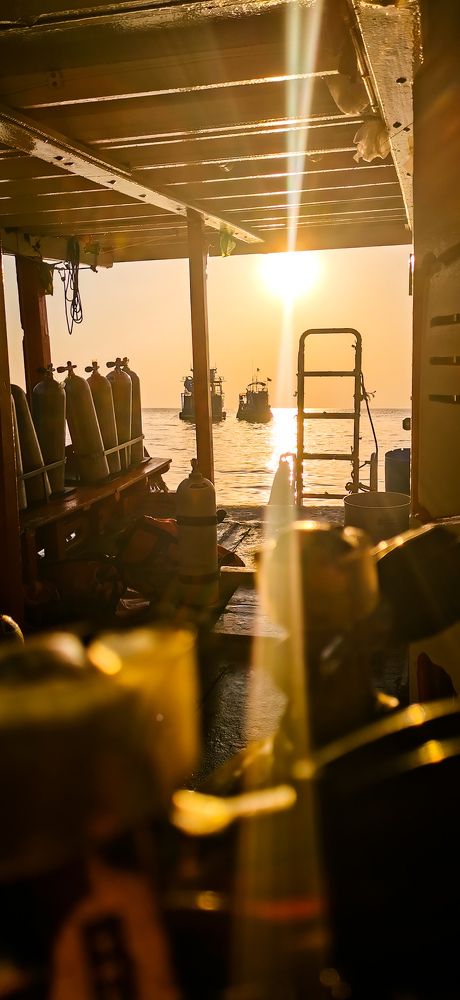 Photograph by Ксения Супрун