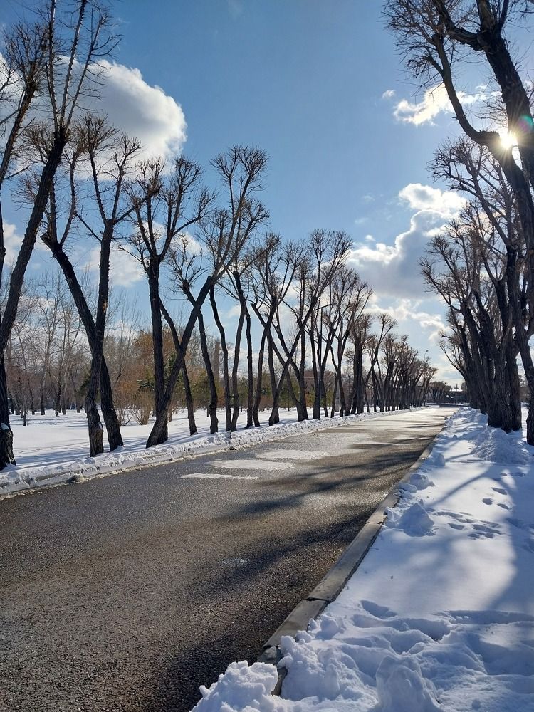 Photograph by Юлия Фирман