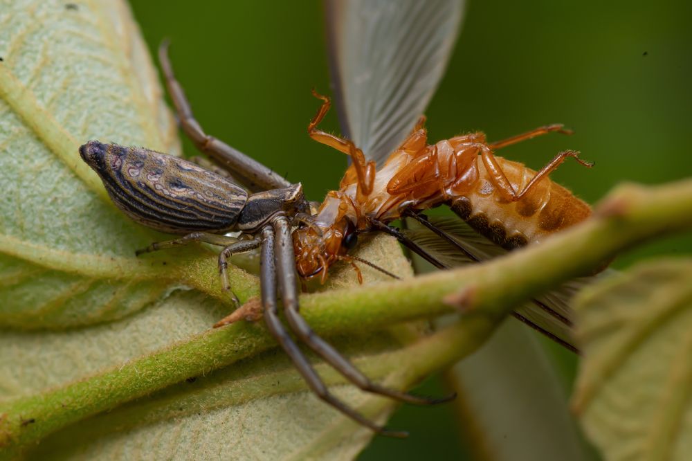 Photograph by Sameer Bhalekar