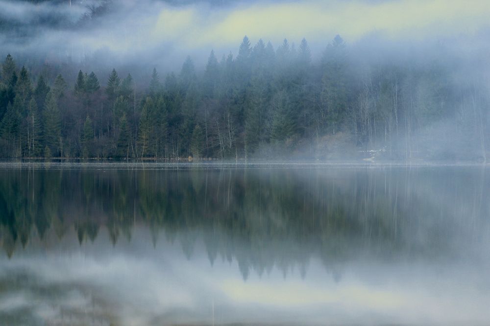 Фотография автора Alexandra Brandstetter