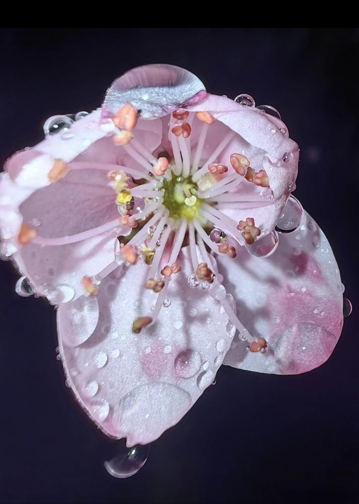 Photograph by Ирина