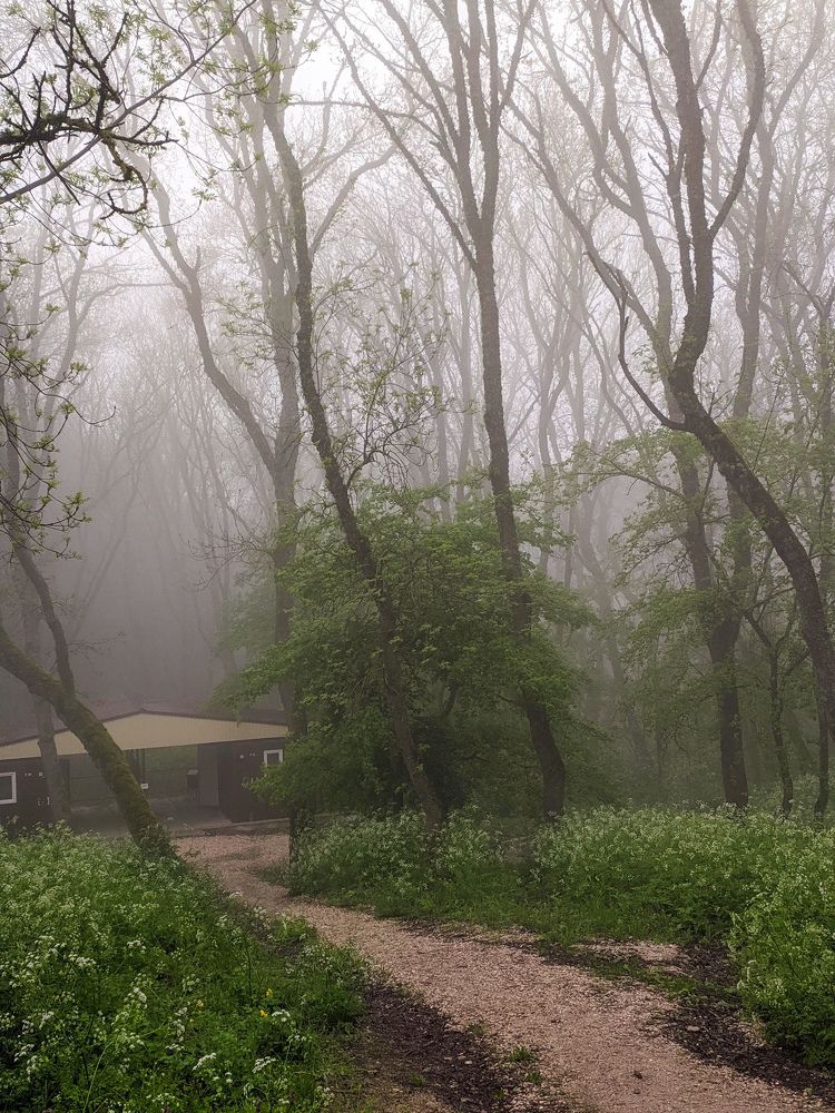 Photograph by Дарья Малиновская