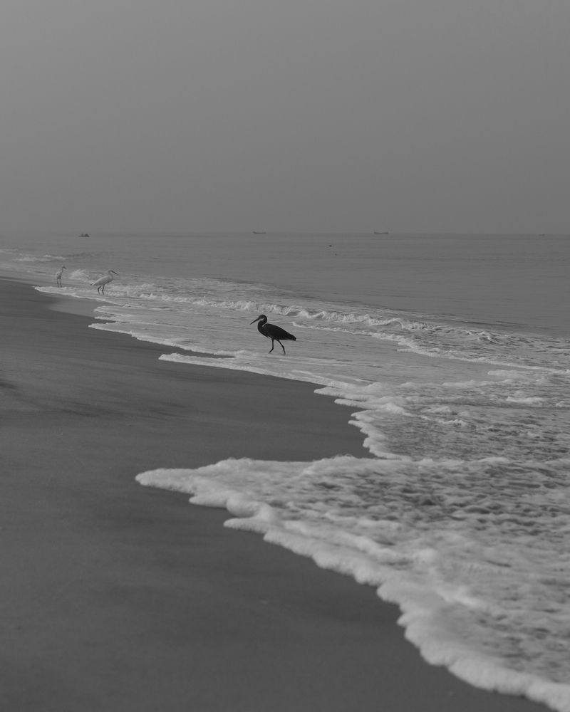 Photograph by anoop s