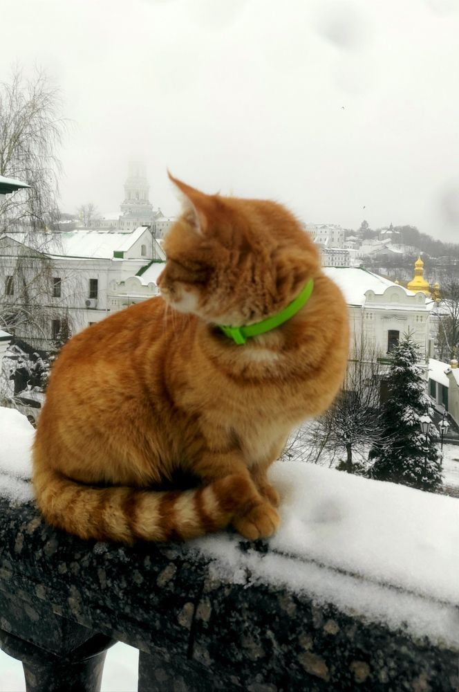 Photograph by Валерий Нестеров