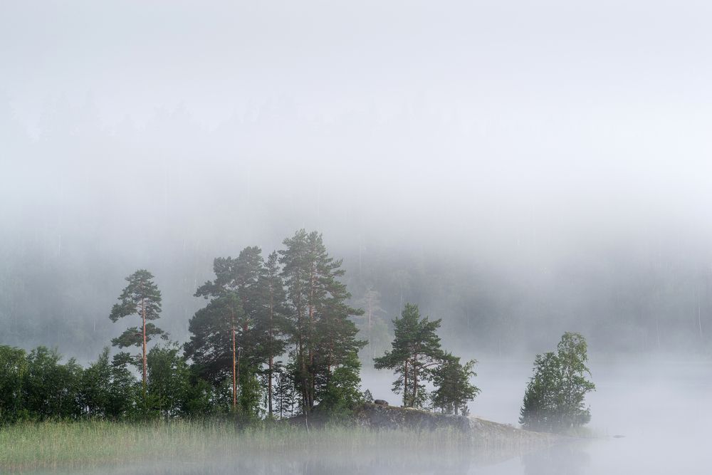 Photograph by Евгений Волосков