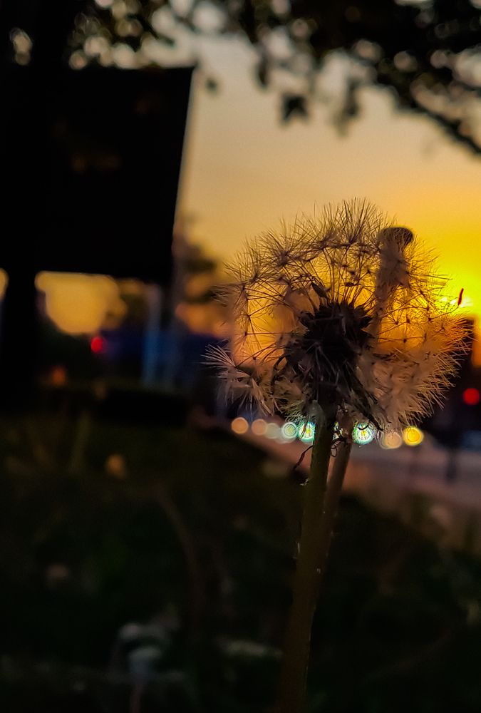 Photograph by Анна Жебуртович