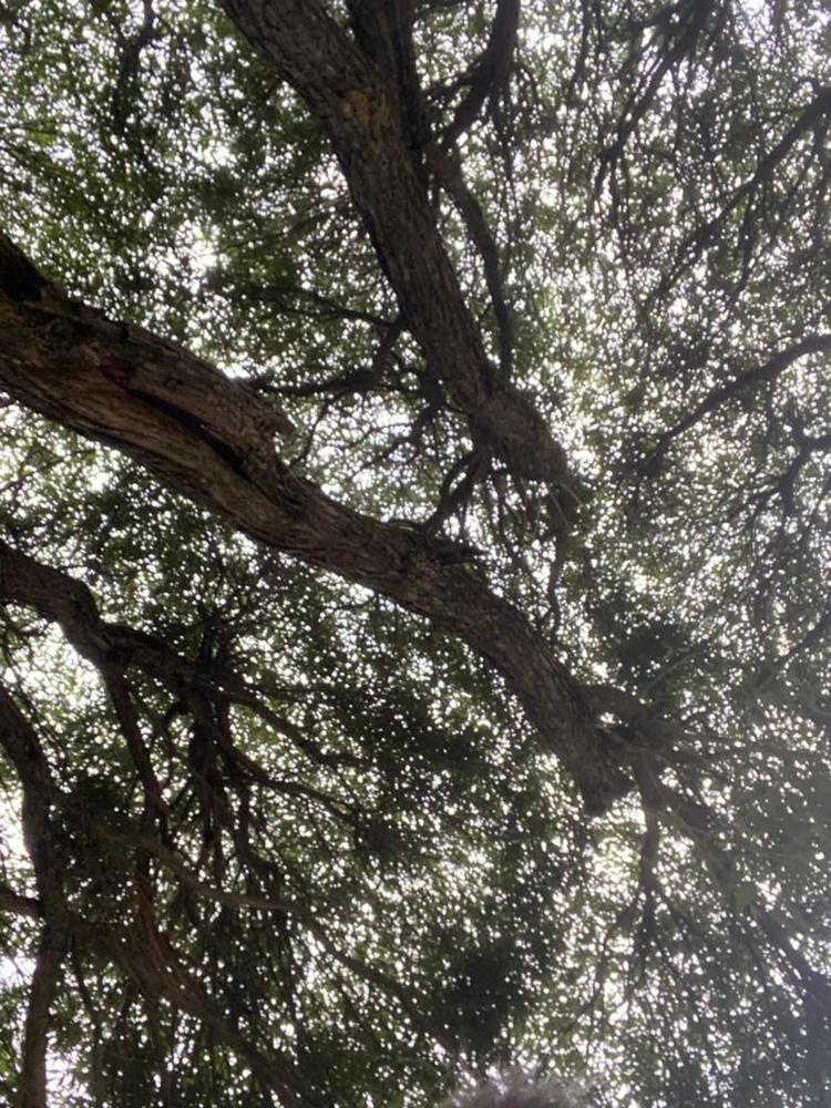 Photograph by Злата Иванченко