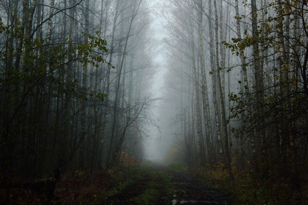 Фотография автора Михаил Кротков