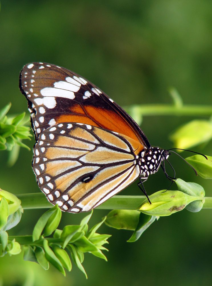 Photograph by Алексей Окунеев