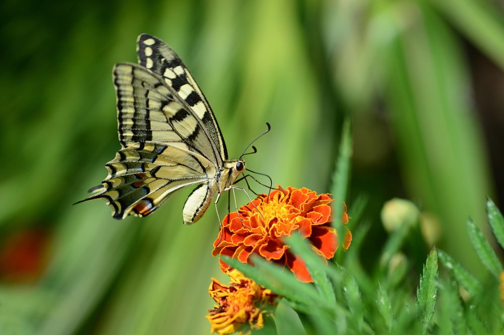Photograph by Виктория Кос