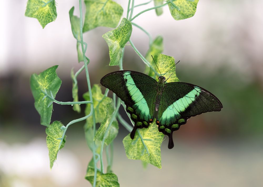 Photograph by Сергей Газизов