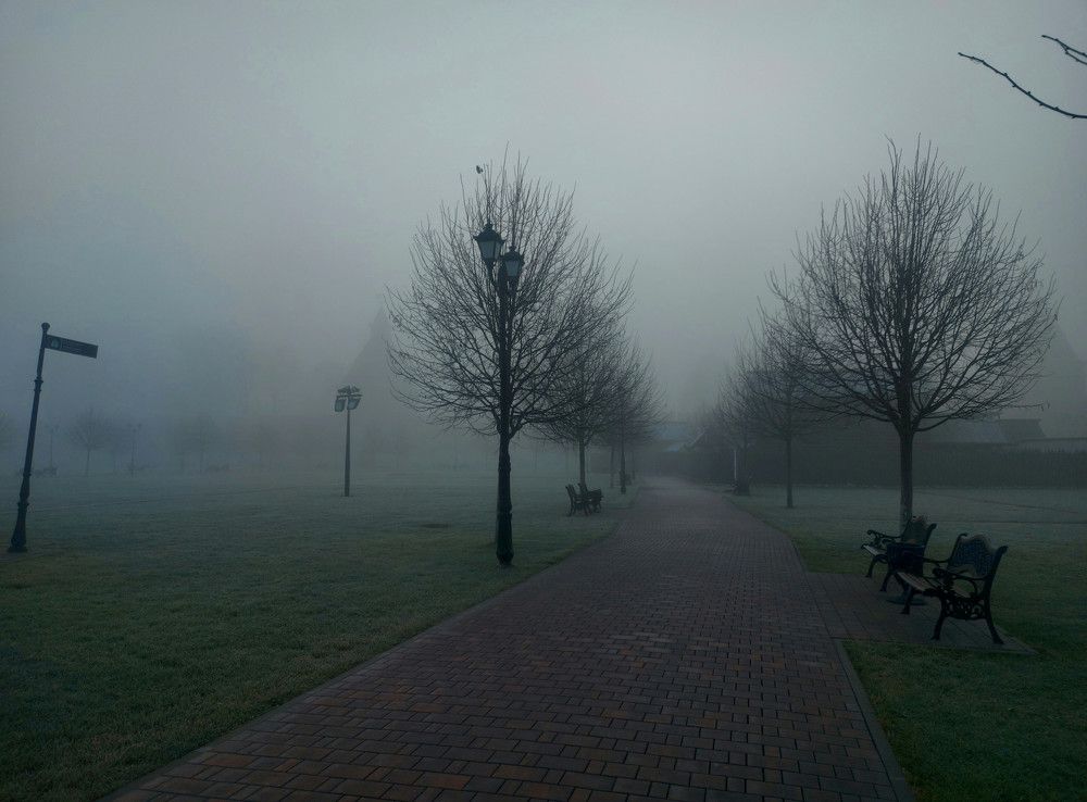 Photograph by Валерий Савостьянов