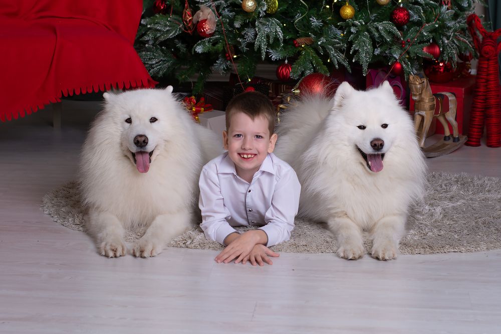 Photograph by Татьяна Гурьянова