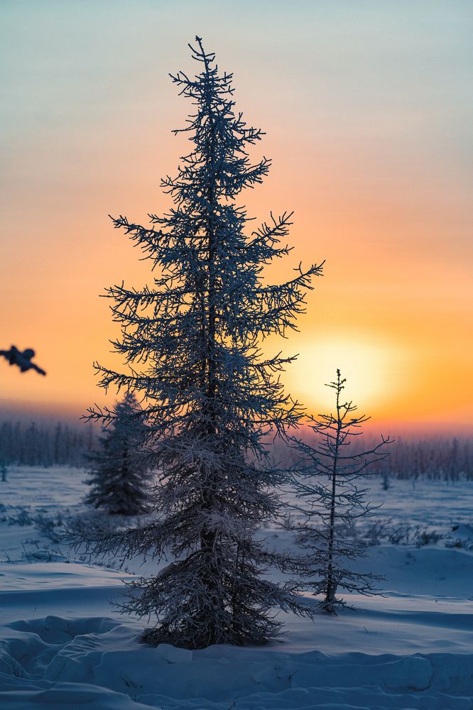 Photograph by Галина Искандарова