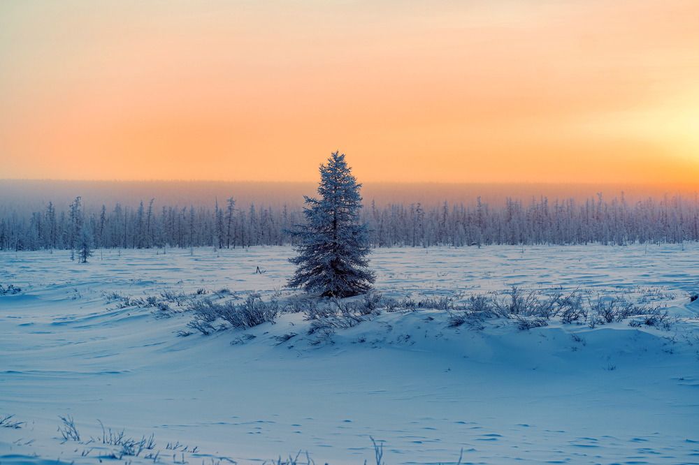 Photograph by Галина Искандарова