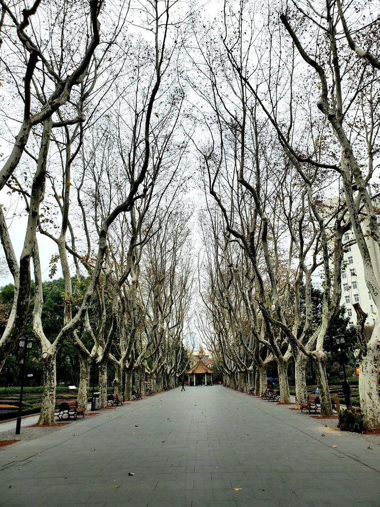 Photograph by ADRIANA DE CARVALHO