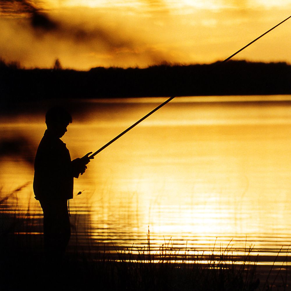 Photograph by Владимир Остапенко