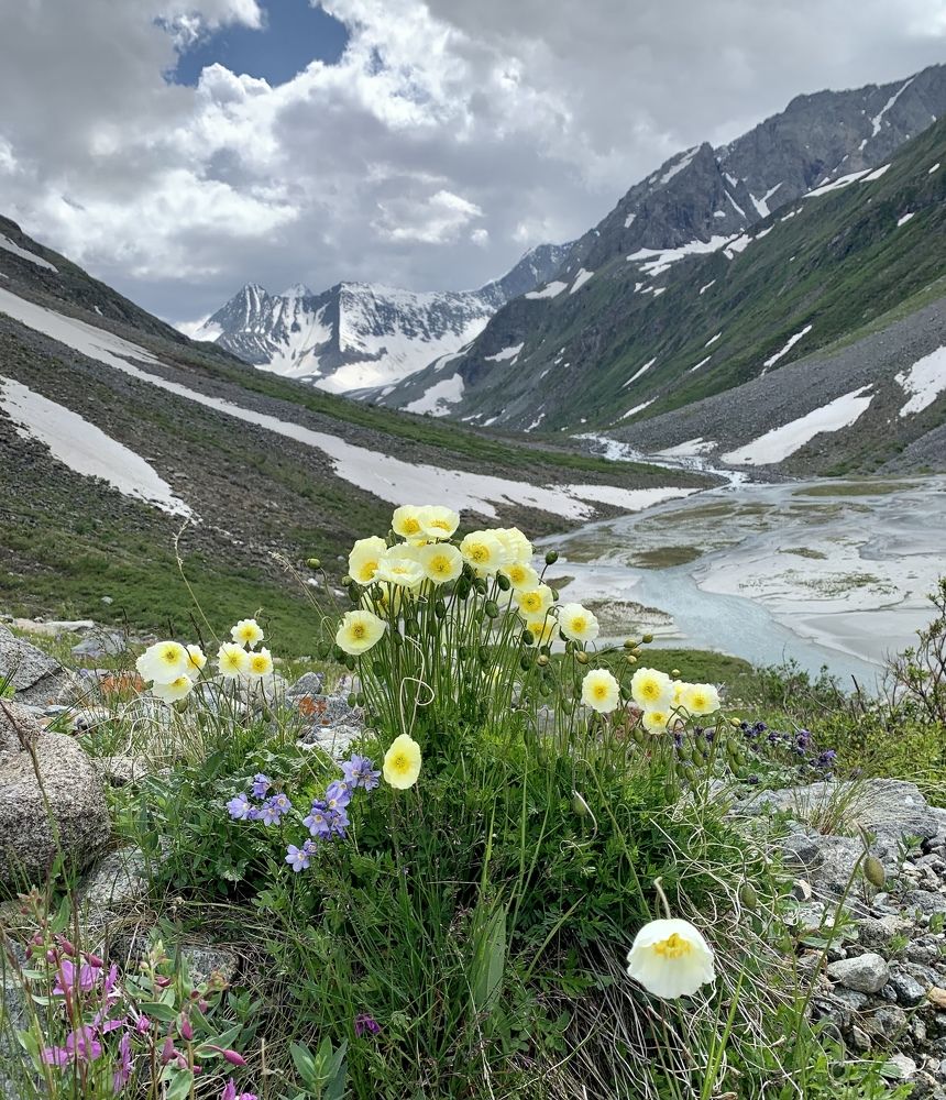Фотография автора Oleg Matronitskiy