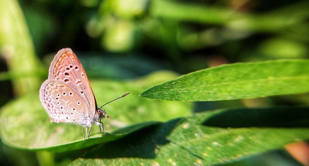Photograph by Rounak hazra