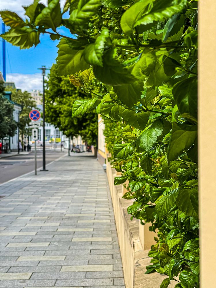 Photograph by Olya Molchanova