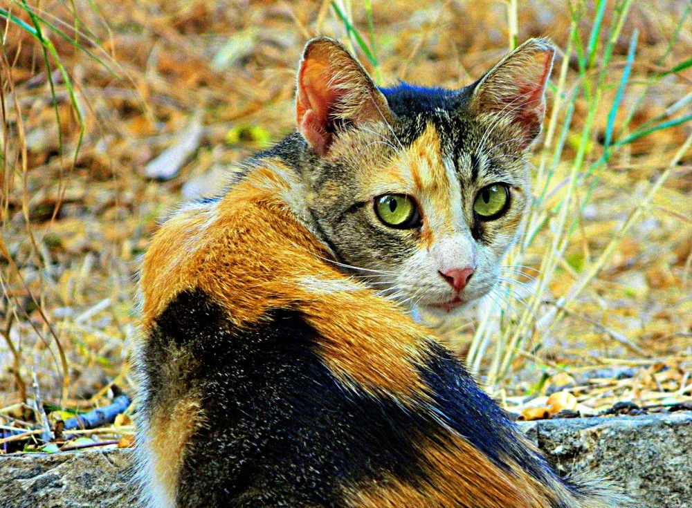 Photograph by Сергей Рапопорт