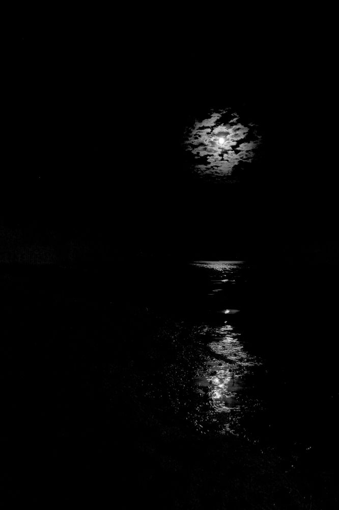 Photograph by Михаил Лавренков