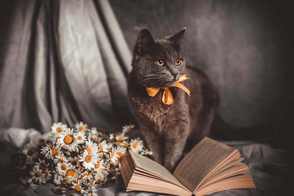 Photograph by Татьяна Рогожа