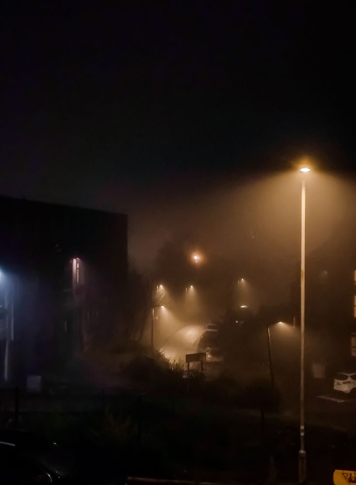 Фотография автора Elena Samusieva