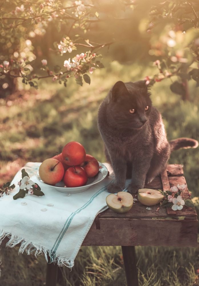 Photograph by Татьяна Рогожа