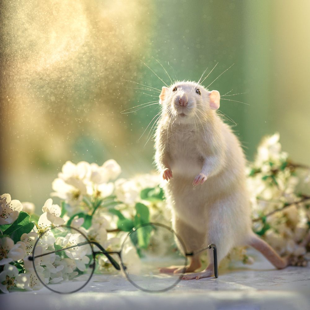 Photograph by Valentina Suvorova