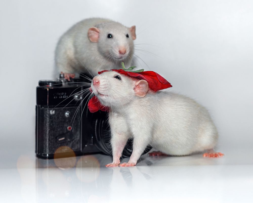 Photograph by Valentina Suvorova